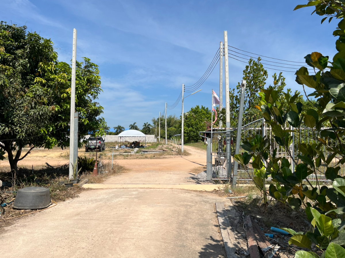 รูป ขายที่ดินสวนผลไม้ ทับใต้ ขนาด 5-3-33 ไร่  ราคาพิเศษ  ภายในสวนปลูก ขนุน - มะม่วง - มะพร้าว - กล้วย - บ่อเลี้ยงปลา  สุดคุ้ม! ต้องขายด่วน! รีบมาดู! - รูปที่ 3/19