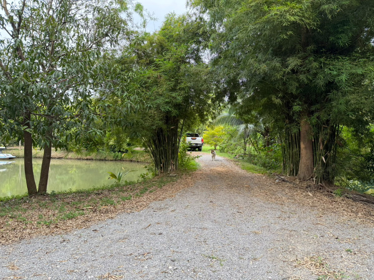 picture Best View Land in Ratchaburi.. - 17/17