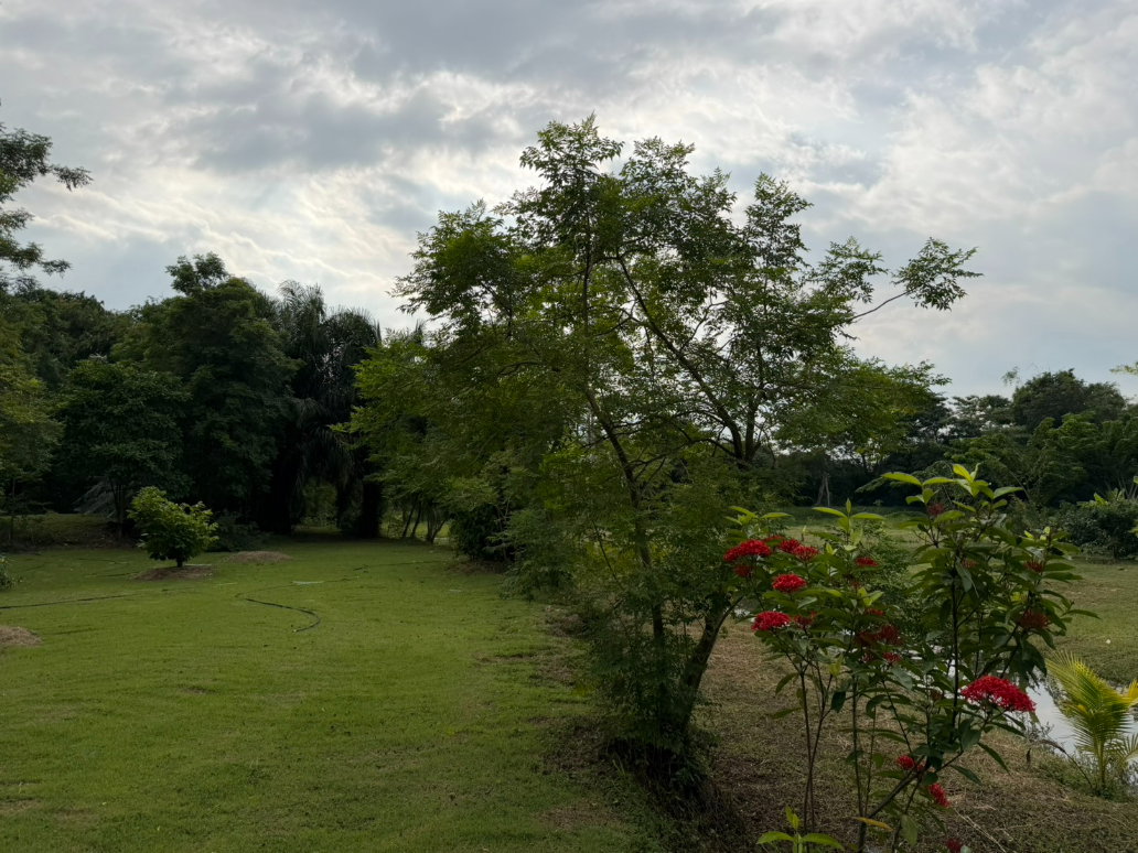 picture Best View Land in Ratchaburi.. - 9/17