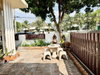 listing thumbnail image 22