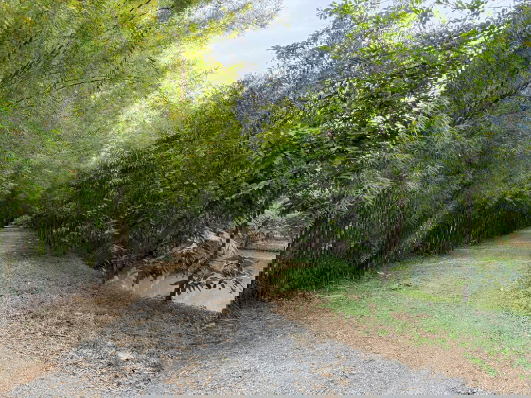 picture Best View Land in Ratchaburi.. - 14/17