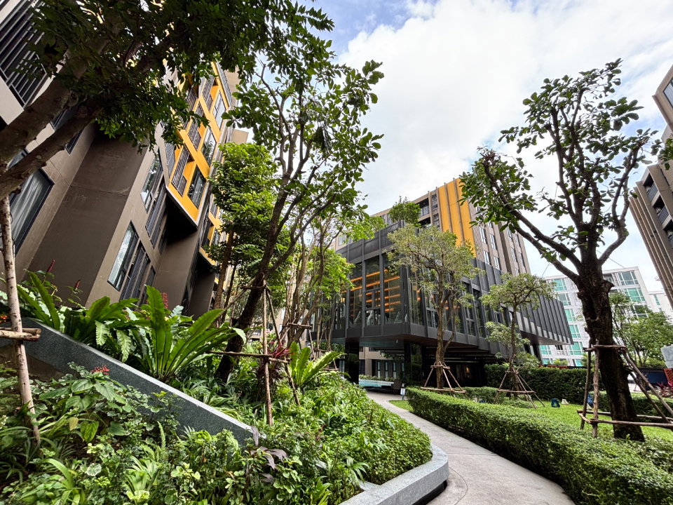 รูป 🏙️ ขายคอนโด The Base Central ใจกลางเมือง 🌟 47 ตร.ม. เฟอร์ครบ 🛋️ ต่างชาติถือครองได้ 💎 - รูปที่ 24/36