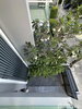 listing thumbnail image 25