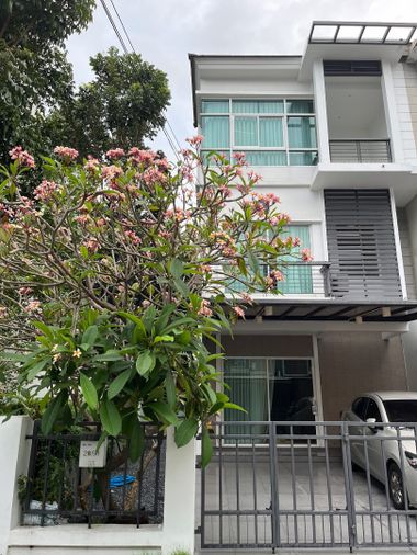 ให้เช่าทาวน์โฮม 3 ห้องนอน 150 ตร.ม. 26.3 ตร.ว. เดอะเมทโทร พระราม 9