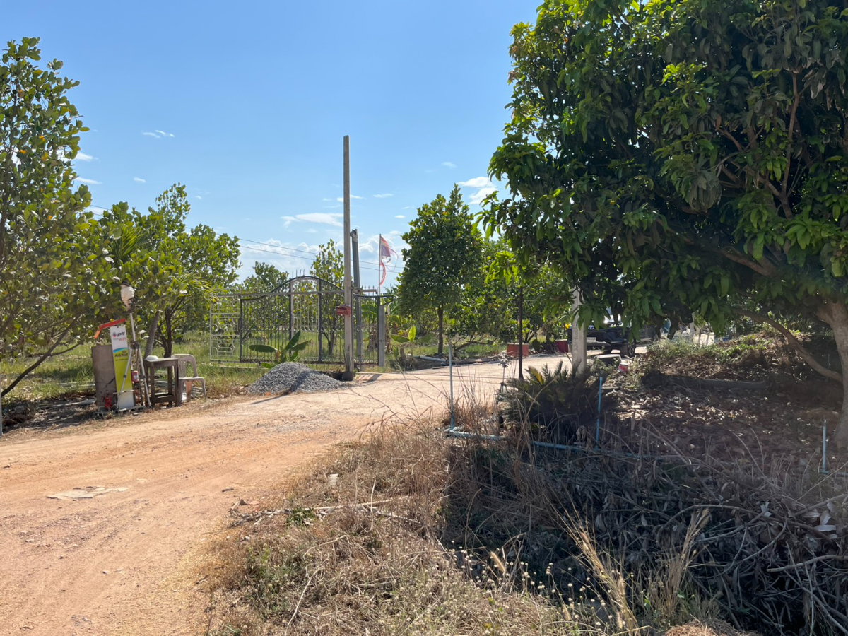 รูป ขายที่ดินสวนผลไม้ ทับใต้ ขนาด 5-3-33 ไร่  ราคาพิเศษ  ภายในสวนปลูก ขนุน - มะม่วง - มะพร้าว - กล้วย - บ่อเลี้ยงปลา  สุดคุ้ม! ต้องขายด่วน! รีบมาดู! - รูปที่ 5/19