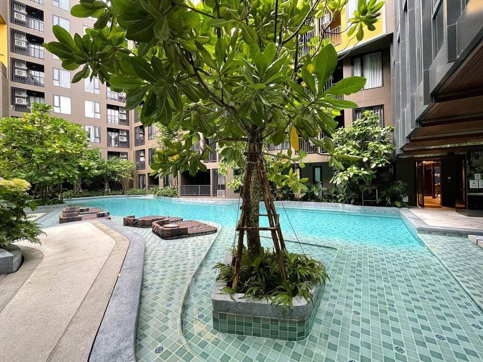 รูป 🏙️ ขายคอนโด The Base Central ใจกลางเมือง 🌟 47 ตร.ม. เฟอร์ครบ 🛋️ ต่างชาติถือครองได้ 💎 - รูปที่ 31/36