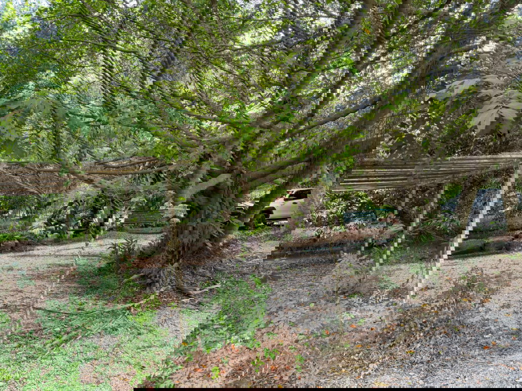 picture Best View Land in Ratchaburi.. - 4/17