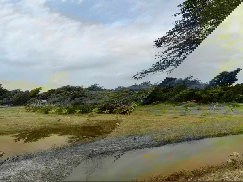 picture Best View Land in Ratchaburi.. - 10/17