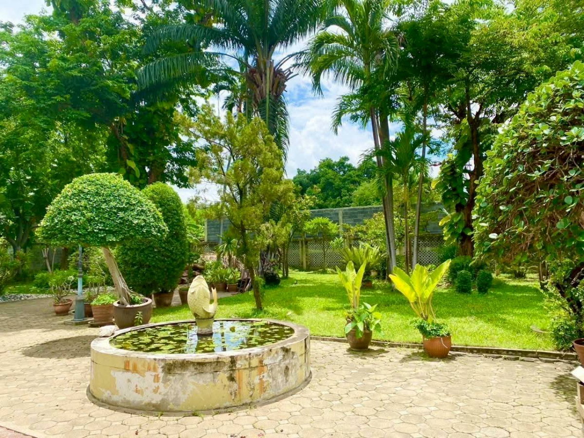 รูป ขายที่ดินพร้อมบ้านเดี่ยว 2 ชั้น สไตล์คลาสสิก กรุงเทพนนท์ 14 ทำเลดี ใกล้ MRTแยกติวานนท์ 150 เมตร - รูปที่ 15/20