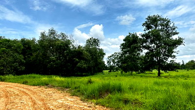 Land for sale Map ammarit Hospital : LAND 26928 square meter null Muang Chumphon Khun Krathing for 29756000 THB