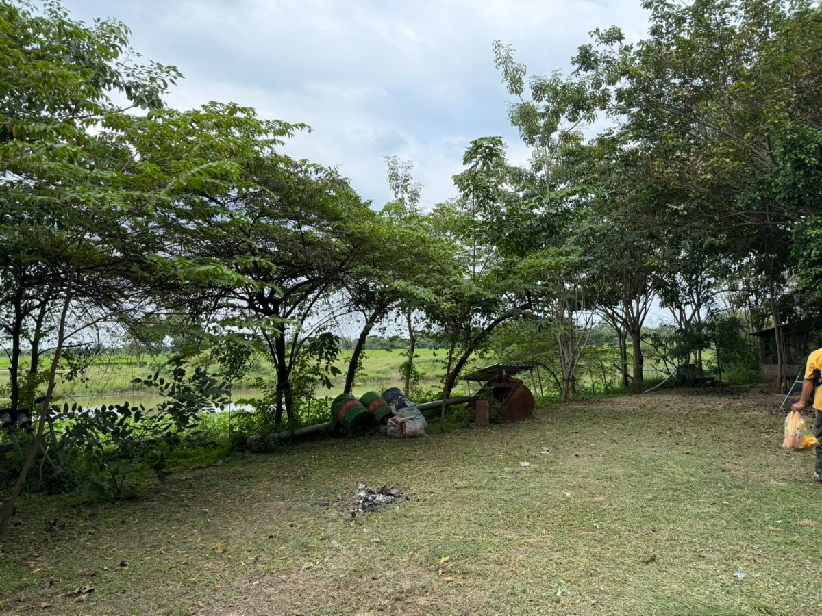picture Best View Land in Ratchaburi.. - 15/17