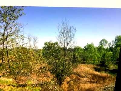 ที่ดิน แม่วาง เชียงใหม่ : ขายที่ดิน 82 ไร่ เป็นโฉนด  พื้นที่สีเขีว ไฟฟ้า 3 เฟส น้ำประปาถึง