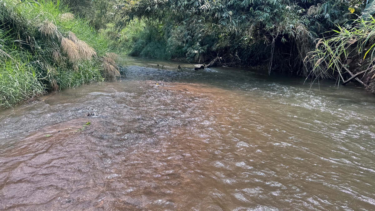 รูป Call : 063-935-2897 ขายที่ดินเชียงใหม่ ที่นาขั้นบันได ติดลำธาร วิวภูเขาล้อมรอบ 4 ไร่เศษ ตำบลสะเมิงใต้ อำเภอสะเมิง จังหวัดเชียงใหม่ - รูปที่ 9/13