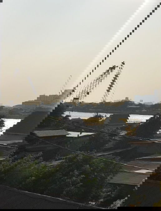 picture The Tree Privata - 13/13