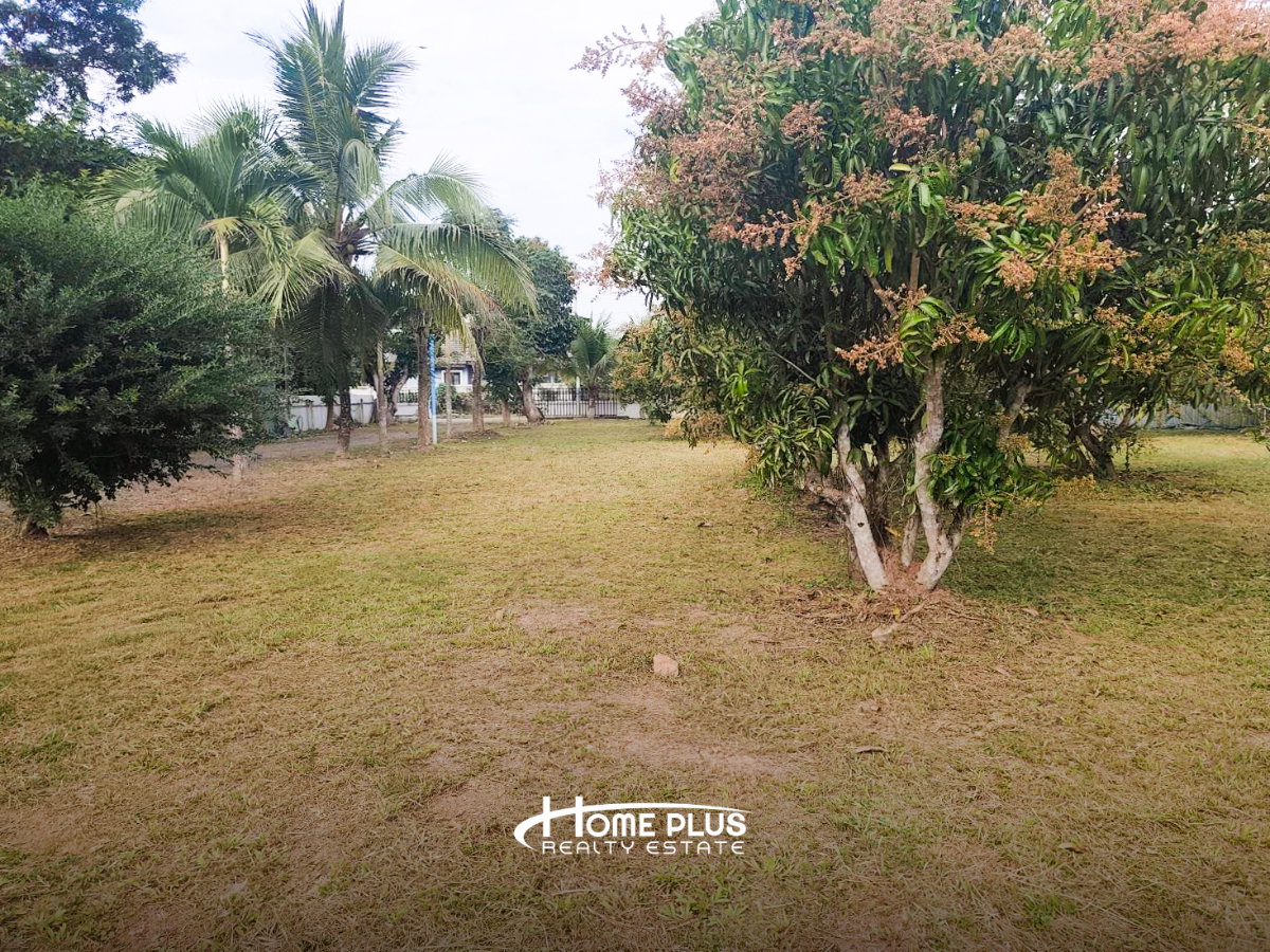 รูป ที่ดินพร้อมบ้าน ตำบลหนองแหย่ง อำเภอสันทราย จังหวัดเชียงใหม่ - รูปที่ 12/12