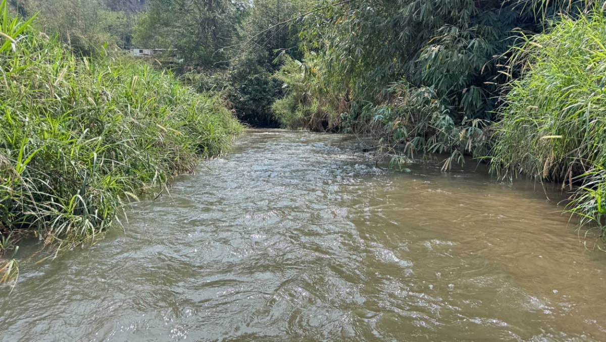 รูป Call : 063-935-2897 ขายที่ดินเชียงใหม่ ที่นาขั้นบันได ติดลำธาร วิวภูเขาล้อมรอบ 4 ไร่เศษ ตำบลสะเมิงใต้ อำเภอสะเมิง จังหวัดเชียงใหม่ - รูปที่ 5/13