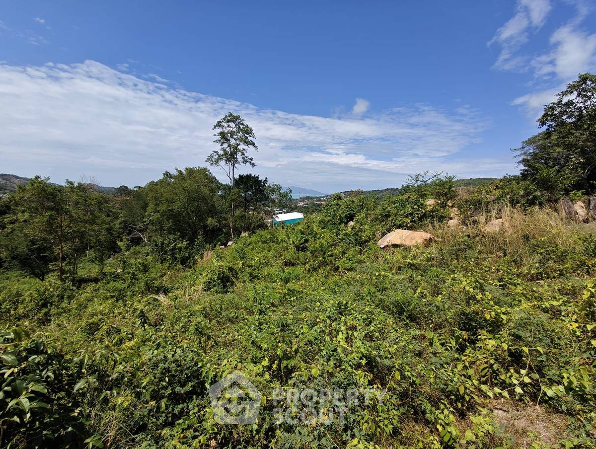 รูป ที่ดินสำหรับปล่อยขาย 1,400 ตารางเมตร แถว ใน บ่อผุด (ID 2710433) - รูปที่ 5/19