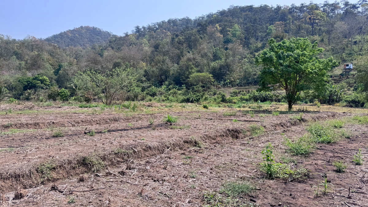 รูป Call : 063-935-2897 ขายที่ดินเชียงใหม่ ที่นาขั้นบันได ติดลำธาร วิวภูเขาล้อมรอบ 4 ไร่เศษ ตำบลสะเมิงใต้ อำเภอสะเมิง จังหวัดเชียงใหม่ - รูปที่ 12/13