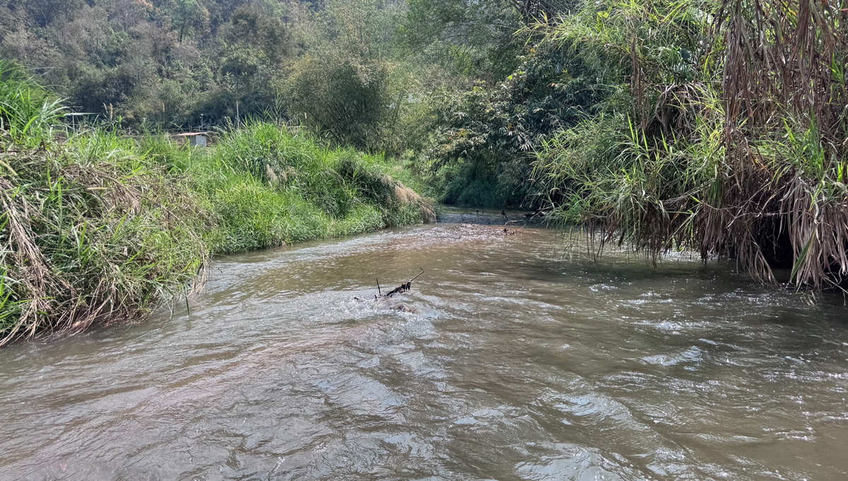 รูป Call : 063-935-2897 ขายที่ดินเชียงใหม่ ที่นาขั้นบันได ติดลำธาร วิวภูเขาล้อมรอบ 4 ไร่เศษ ตำบลสะเมิงใต้ อำเภอสะเมิง จังหวัดเชียงใหม่ - รูปที่ 1/13