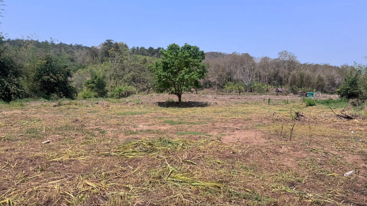 รูป Call : 063-935-2897 ขายที่ดินเชียงใหม่ ที่นาขั้นบันได ติดลำธาร วิวภูเขาล้อมรอบ 4 ไร่เศษ ตำบลสะเมิงใต้ อำเภอสะเมิง จังหวัดเชียงใหม่ - รูปที่ 7/13