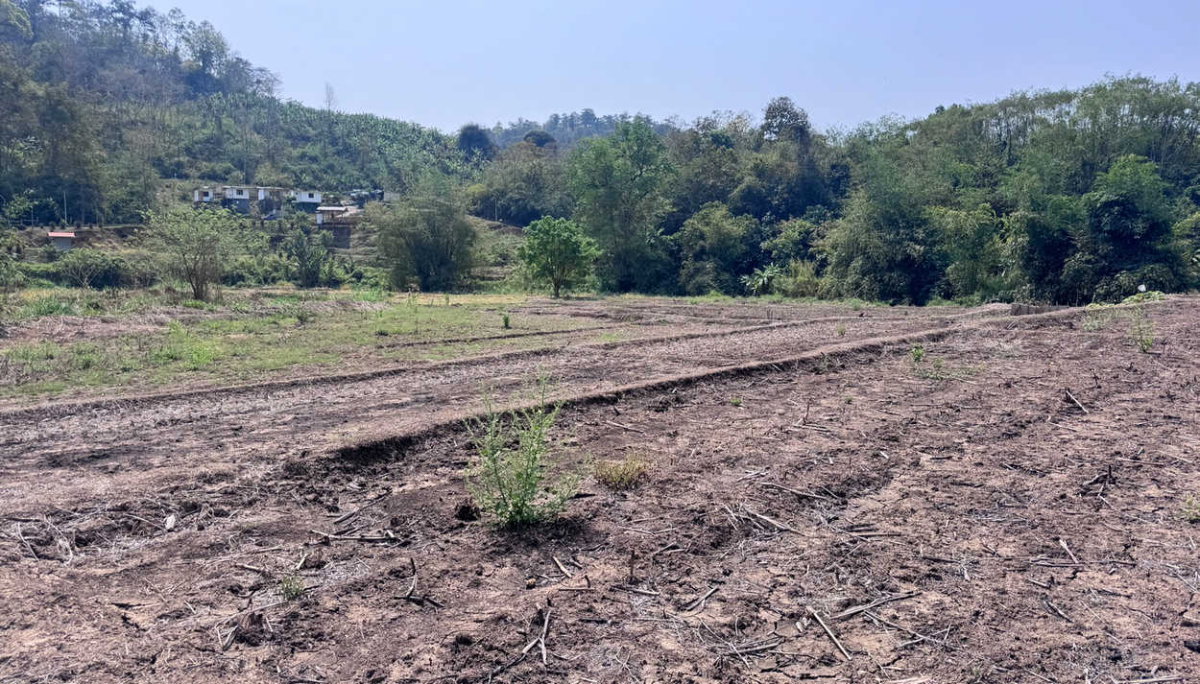 รูป Call : 063-935-2897 ขายที่ดินเชียงใหม่ ที่นาขั้นบันได ติดลำธาร วิวภูเขาล้อมรอบ 4 ไร่เศษ ตำบลสะเมิงใต้ อำเภอสะเมิง จังหวัดเชียงใหม่ - รูปที่ 4/13