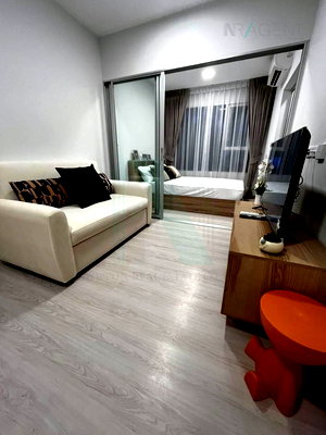 Condos for rent : 🚩 For Rent Condo PLUM CONDO SUKHUMVIT 62 Building 1, Floor 2,1 bed room, Room size 29 sqm