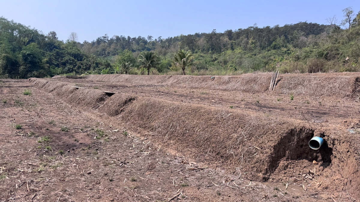 รูป Call : 063-935-2897 ขายที่ดินเชียงใหม่ ที่นาขั้นบันได ติดลำธาร วิวภูเขาล้อมรอบ 4 ไร่เศษ ตำบลสะเมิงใต้ อำเภอสะเมิง จังหวัดเชียงใหม่ - รูปที่ 10/13