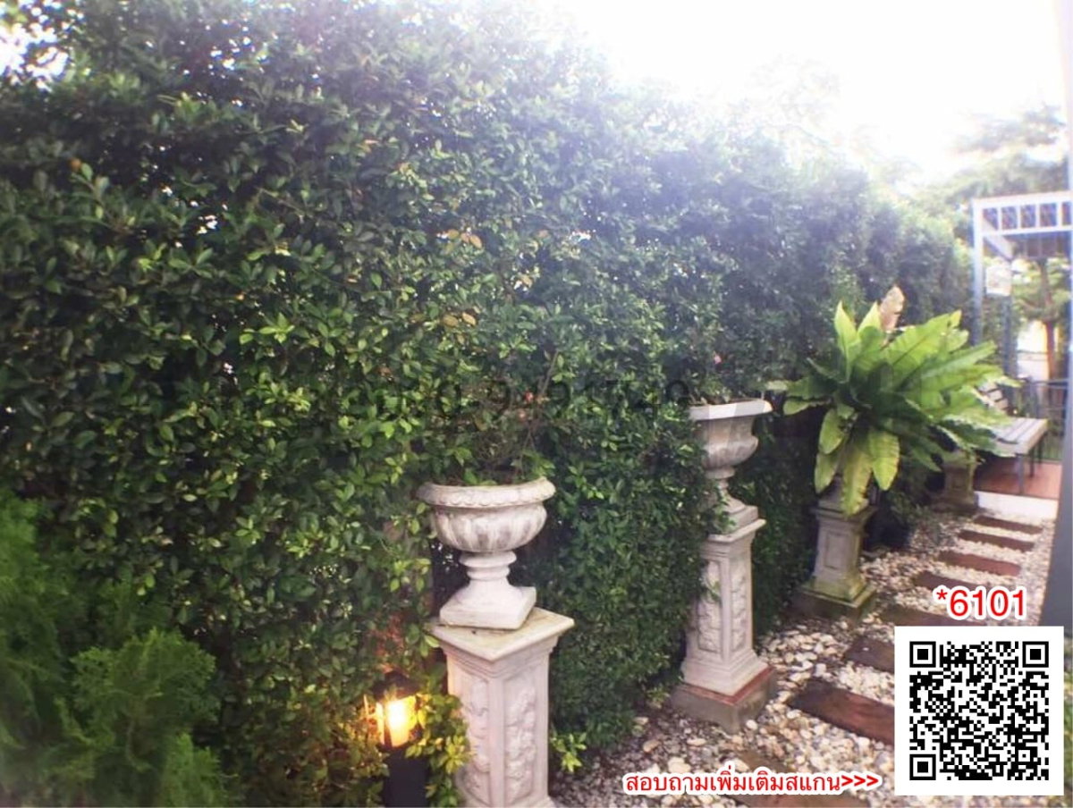 รูป เช่า บ้านเดี่ยว PERFECT PLACE รามคำแหง – สุวรรณภูมิ บ้านพร้อมเข้าอยู่ - รูปที่ 7/14