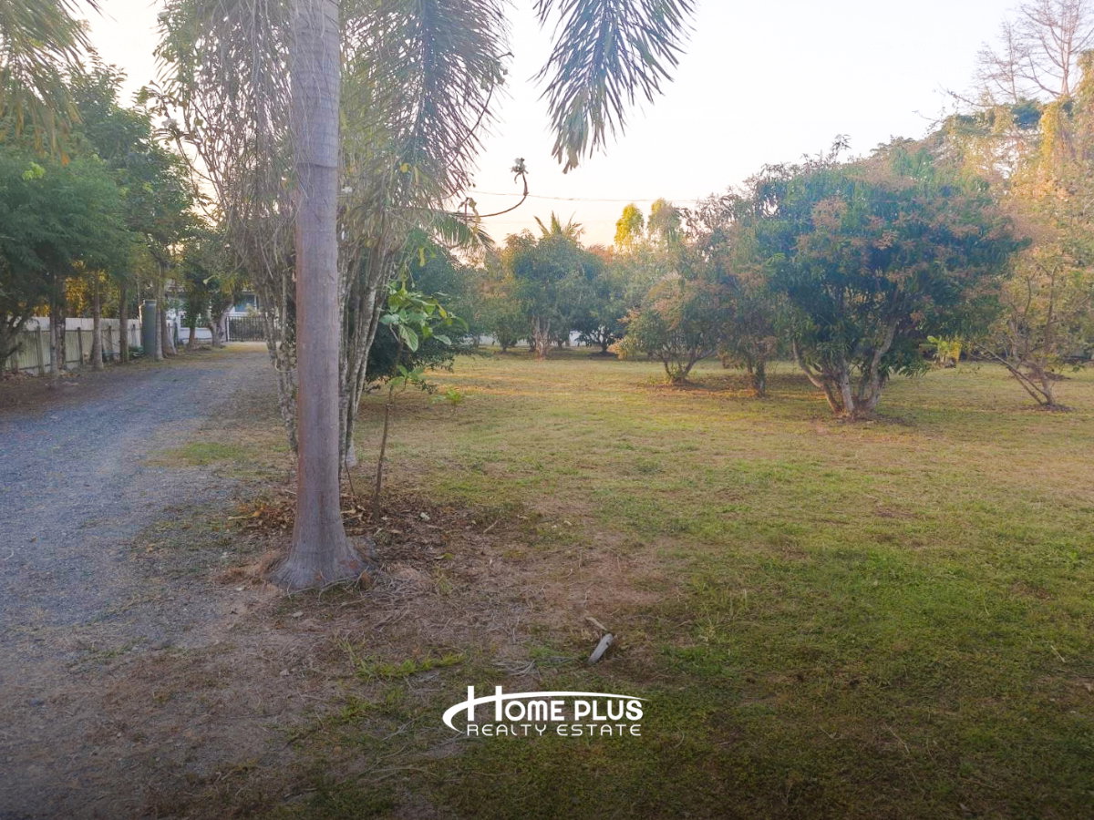 รูป ที่ดินพร้อมบ้าน ตำบลหนองแหย่ง อำเภอสันทราย จังหวัดเชียงใหม่ - รูปที่ 11/12