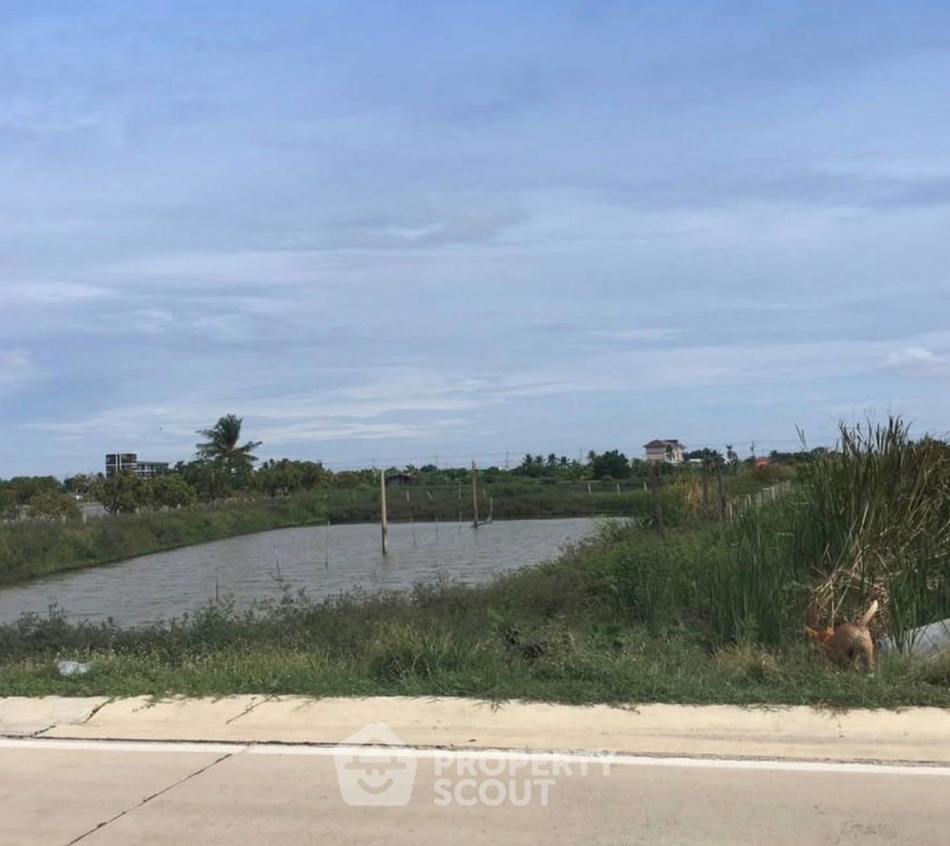 รูป ที่ดินสำหรับปล่อยขาย 8,684.4 ตารางเมตร แถว ใน ศีรษะจรเข้น้อย (ID 2720965) - รูปที่ 3/3