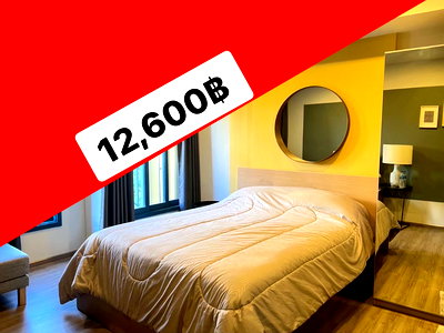 เช่าคอนโด บิ๊กซี เอ็กซ์ตร้า พระราม 4 : The Base Sukhumvit 50 ขนาด 26 ตรม 12,600 สนใจติดต่อ: @promptyou11