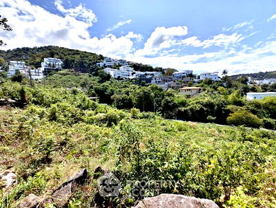 ที่ดิน เกาะสมุย สุราษฎร์ธานี : ที่ดินสำหรับปล่อยขาย 1,400 ตารางเมตร แถว ใน บ่อผุด (ID 2710433)