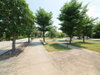 listing thumbnail image 47