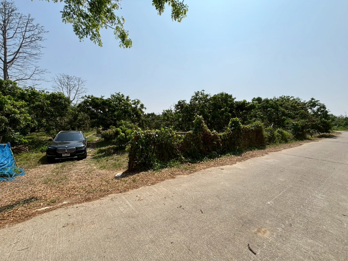 รูป ขายด่วน ที่ดินสวนลำไยทำเลดี อ.หางดง จ.เชียงใหม่ เนื้อที่ 12 ไร่ 2 งาน 13 ตรว - รูปที่ 5/10