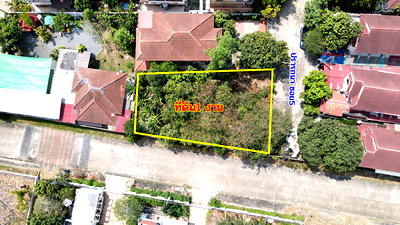 ที่ดิน ม.ราชมงคลธัญบุรี : ขายที่ดิน 100 ตร วา หมู่บ้านปรารถนาคันทรีโฮม คลองหก รังสิต-นครนายก รังสิต , ธัญบุรี , ปทุมธานี