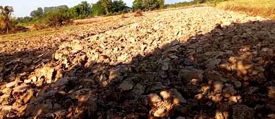 ที่ดิน ปากท่อ ราชบุรี : ประกาศขายที่ดินเปล่า ปากท่อ ราชบุรี !!!