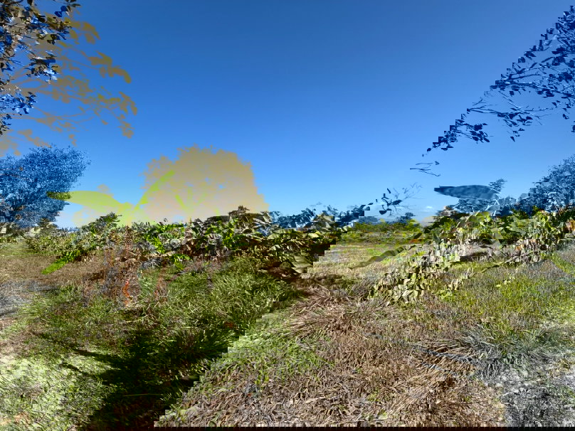 รูป ขายที่ดิน 19 ไร่ ริมถนนซุปเปอร์ไฮเวย์ เชียงใหม่-เชียงราย - รูปที่ 7/14