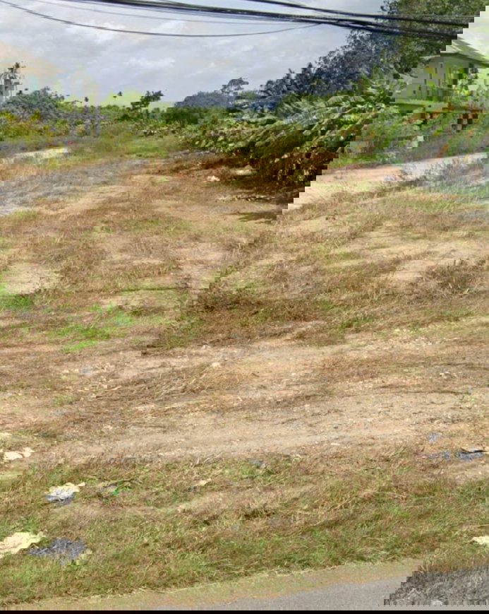 รูป ขายที่ดินแปลงสวย ติดถนนทางหลวง กรุงเทพฯ–ภาคใต้ ทำเลศักยภาพสูง เนื้อที่ 8ไร่ 2งาน28.5ตรว - รูปที่ 2/3