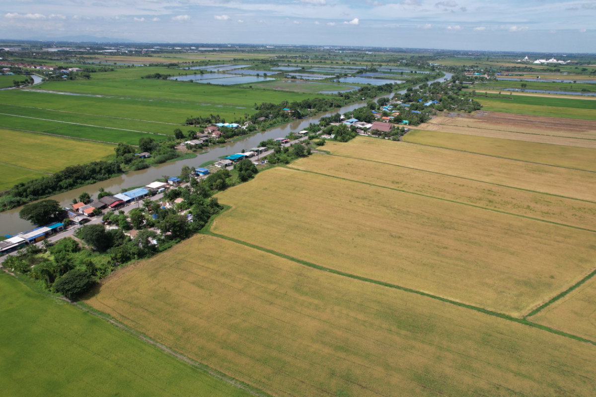 รูป ขายที่ดินฉะเชิงเทรา 380 ไร่ ใกล้ถนนสุวินทวงศ์ อ.เมือง จ.ฉะเชิงเทรา - รูปที่ 10/10