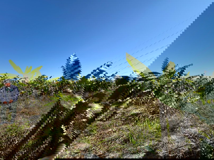 รูป ขายที่ดิน 19 ไร่ ริมถนนซุปเปอร์ไฮเวย์ เชียงใหม่-เชียงราย - รูปที่ 6/14