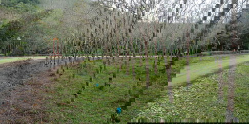 ขายที่ดินสวนยาง สายปลักชุมแสง นาหม่อม บ้านพรุ