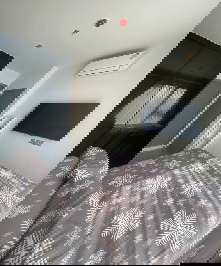 picture Life Asoke Hype - 4/5