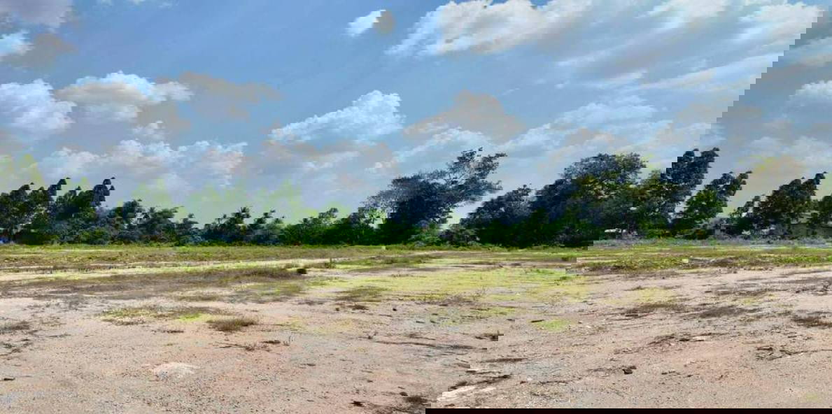 รูป ขายที่ดินแหลมฉบัง ห่างท่าเรือเพียง 15 นาที ที่ดิน 11-36-0 ไร่ ขายเพียง 35 ล้านเท่านั้น ฟรีโอน - รูปที่ 2/6