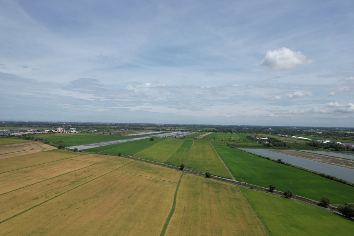 รูป ขายที่ดินฉะเชิงเทรา 380 ไร่ ใกล้ถนนสุวินทวงศ์ อ.เมือง จ.ฉะเชิงเทรา - รูปที่ 7/10