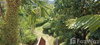 listing thumbnail image 17