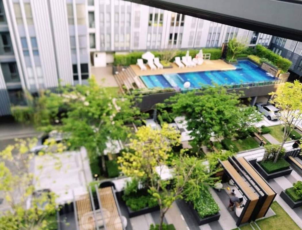 รูป ให้เช่า คอนโด โมนีค สุขุมวิท 64 BTS ปุณณวิถี BTS Punnawithi 1 กม. รถ รับ - ส่ง - รูปที่ 18/19