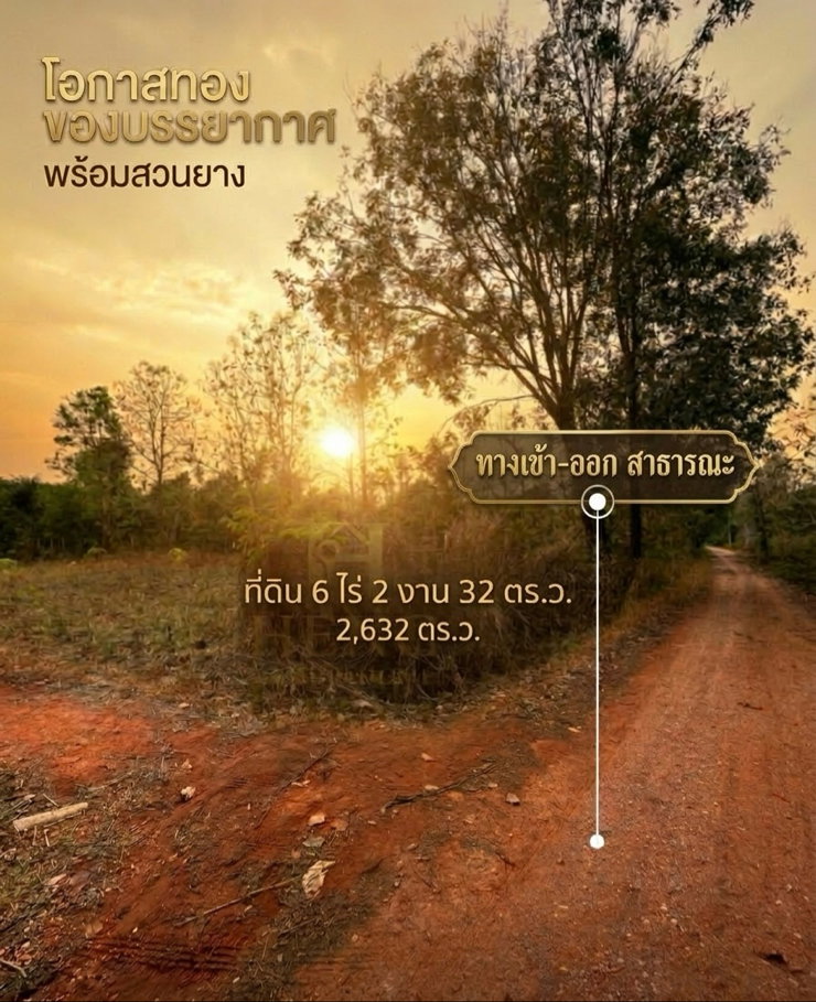 รูป ขายที่ดินสวนยางพารา อำเภอพาน จังหวัดเชียงราย พร้อมทำประโยชน์ต่อได้ทันที - รูปที่ 9/15