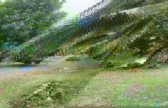 รูป ขาย ที่ดินสีม่วง 2 ไร่ ทำเลอุตสาหกรรม ศักยภาพสูง กระทุ่มแบน สมุทรสาคร - รูปที่ 6/8