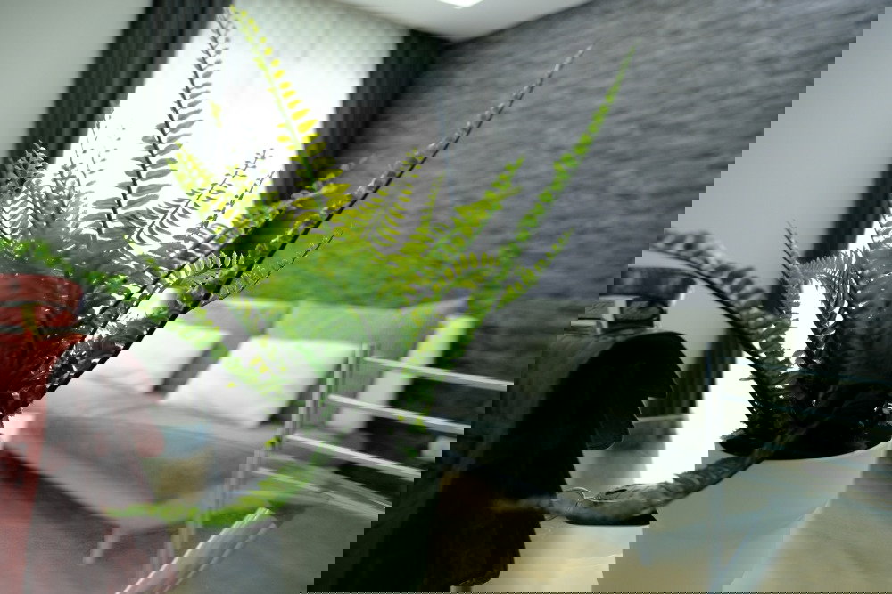 รูป ห้องจริง❤️เอเจ้นท์ ❤️นัดดูห้องแอดไลน์นะคะ❤️🟢🟡🟣ให้เช่า Thru Thonglor 🟢🟡🟣 - รูปที่ 4/18