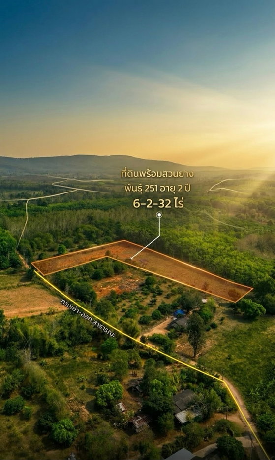 รูป ขายที่ดินสวนยางพารา อำเภอพาน จังหวัดเชียงราย พร้อมทำประโยชน์ต่อได้ทันที - รูปที่ 13/15